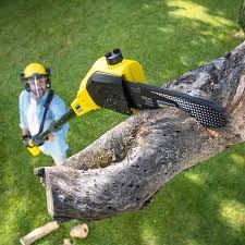 Best Sod Installation  in Vandenberg Af, CA